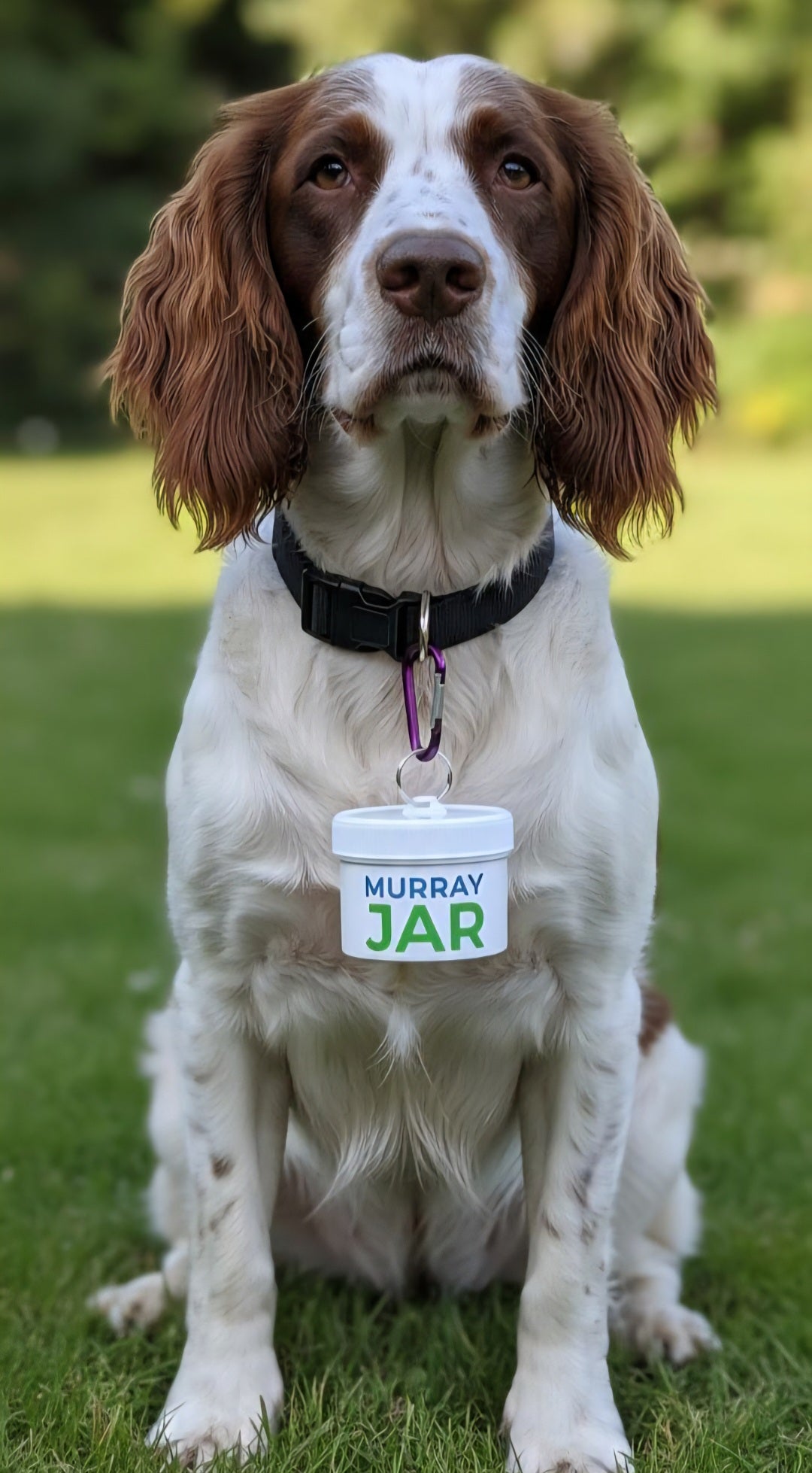 Murray Jar The Portable bin for dog walkers 150ml