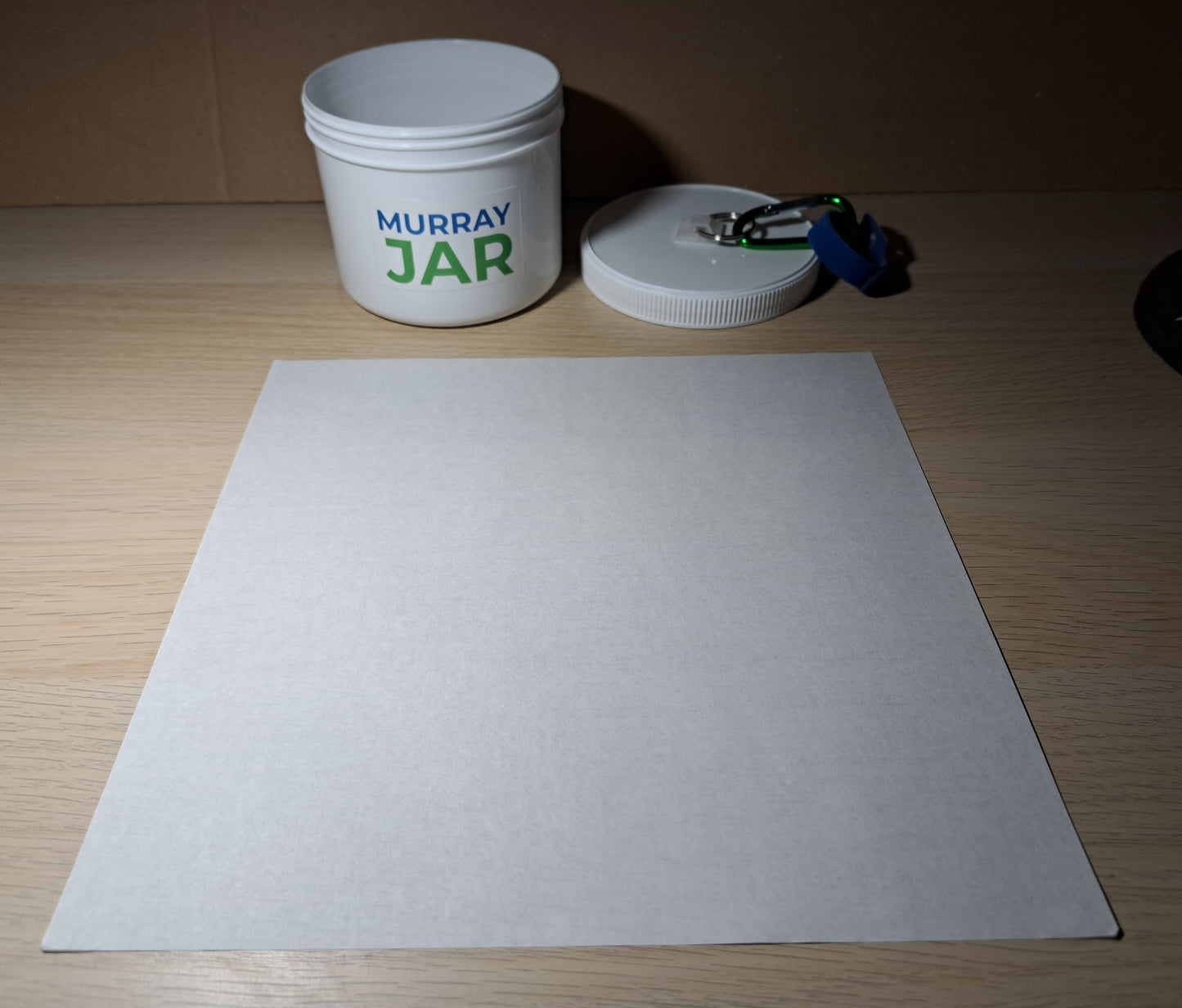 Paper Alternative To Plastic Poop Bags. 100 Grease Proof Paper Sheets. 9 Inch.