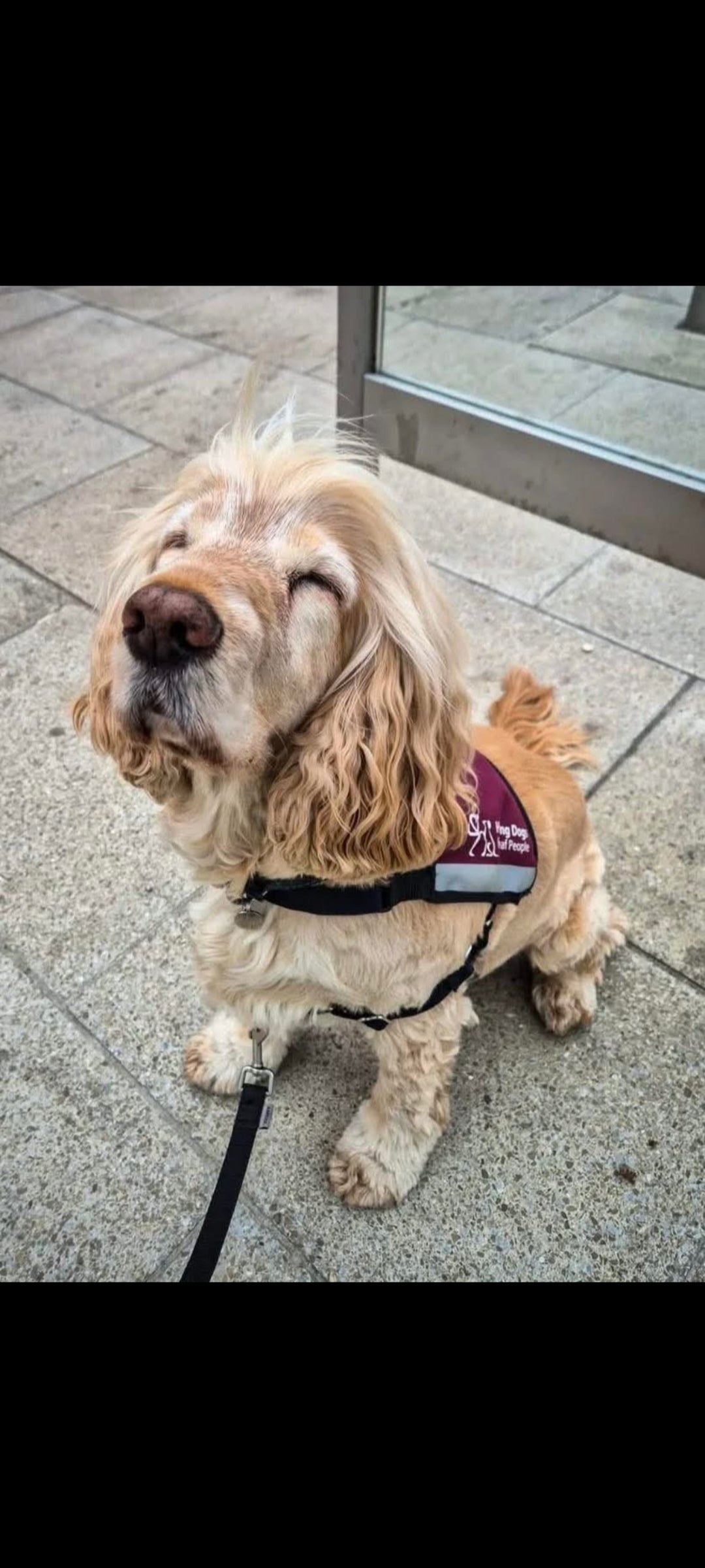 Murray Jar The Portable bin for dog walkers 150ml